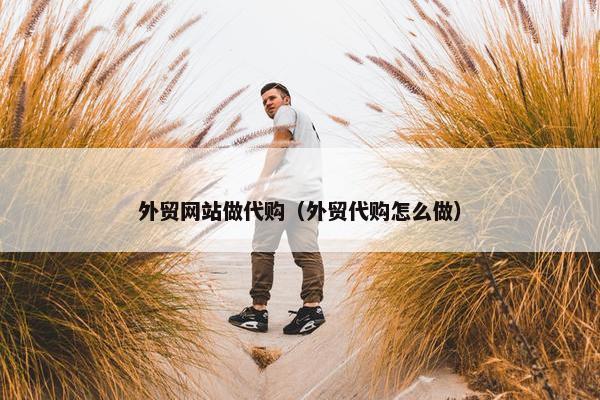外贸网站做代购（外贸代购怎么做）-第1张图片-冷动云