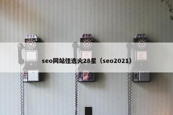 seo网站佳选火28星（seo2021）-第1张图片-冷动云