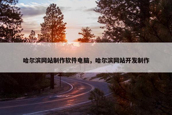 哈尔滨网站制作软件电脑，哈尔滨网站开发制作-第1张图片-冷动云