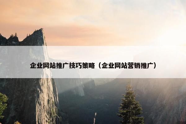 企业网站推广技巧策略（企业网站营销推广）-第1张图片-冷动云