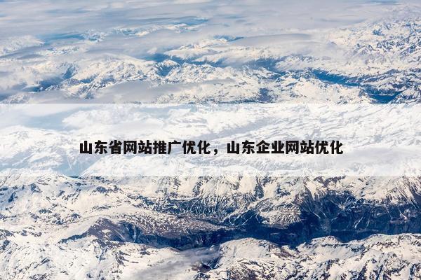 山东省网站推广优化，山东企业网站优化-第1张图片-冷动云