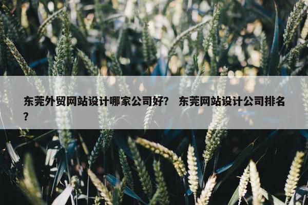 东莞外贸网站设计哪家公司好？ 东莞网站设计公司排名？-第1张图片-冷动云