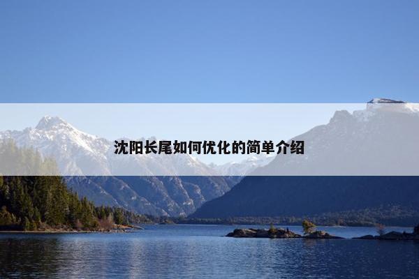 沈阳长尾如何优化的简单介绍-第1张图片-冷动云