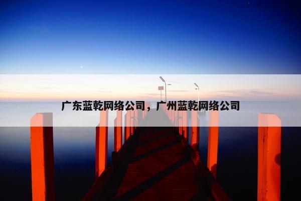 广东蓝乾网络公司，广州蓝乾网络公司-第1张图片-冷动云