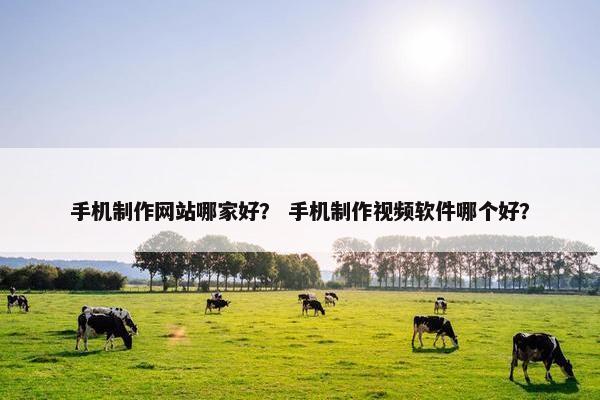 手机制作网站哪家好？ 手机制作视频软件哪个好？-第1张图片-冷动云