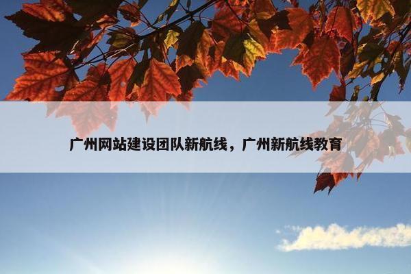 广州网站建设团队新航线，广州新航线教育-第1张图片-冷动云