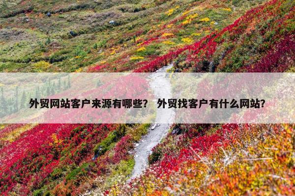 外贸网站客户来源有哪些？ 外贸找客户有什么网站？-第1张图片-冷动云
