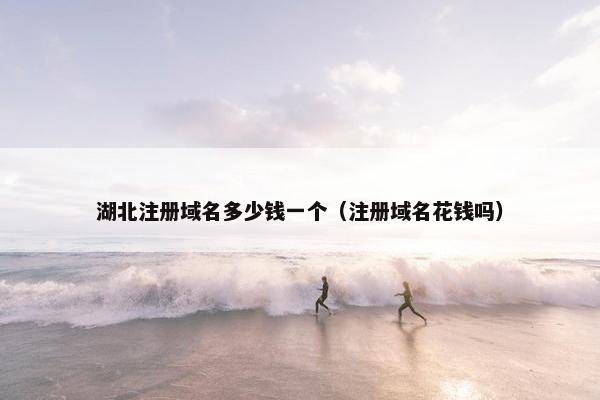 湖北注册域名多少钱一个（注册域名花钱吗）-第1张图片-冷动云