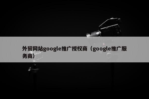 外贸网站google推广授权商（google推广服务商）-第1张图片-冷动云