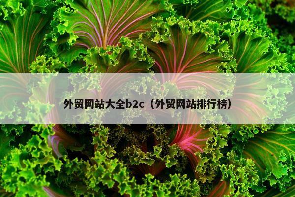外贸网站大全b2c（外贸网站排行榜）-第1张图片-冷动云