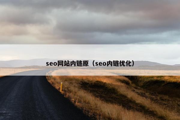 seo网站内链原（seo内链优化）-第1张图片-冷动云
