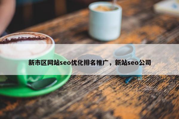 新市区网站seo优化排名推广，新站seo公司-第1张图片-冷动云