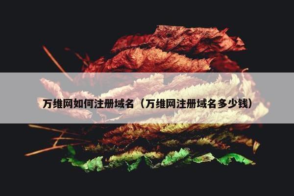 万维网如何注册域名（万维网注册域名多少钱）-第1张图片-冷动云