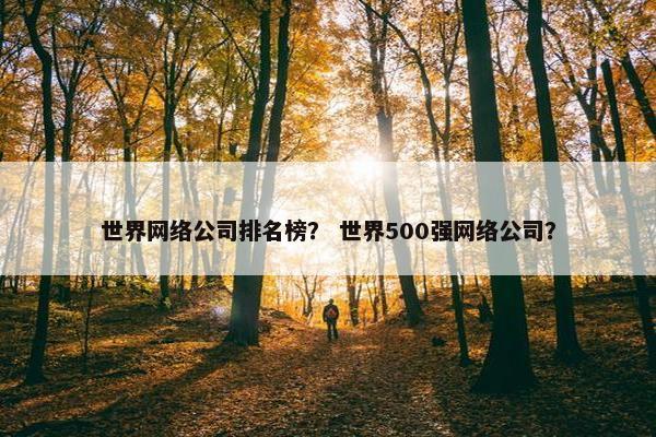 世界网络公司排名榜？ 世界500强网络公司？-第1张图片-冷动云
