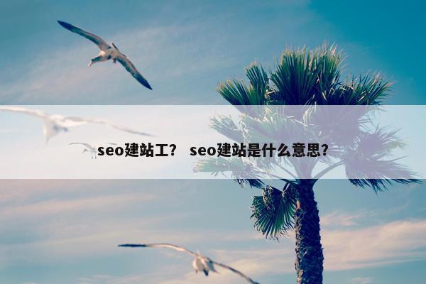 seo建站工？ seo建站是什么意思？-第1张图片-冷动云
