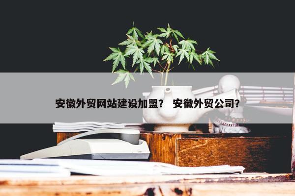 安徽外贸网站建设加盟？ 安徽外贸公司？-第1张图片-冷动云
