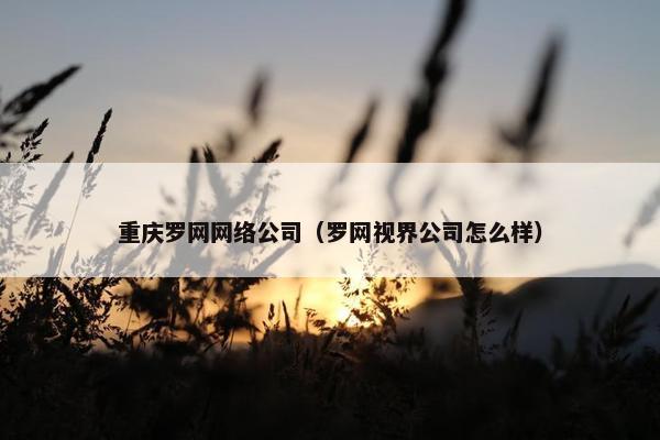 重庆罗网网络公司（罗网视界公司怎么样）-第1张图片-冷动云