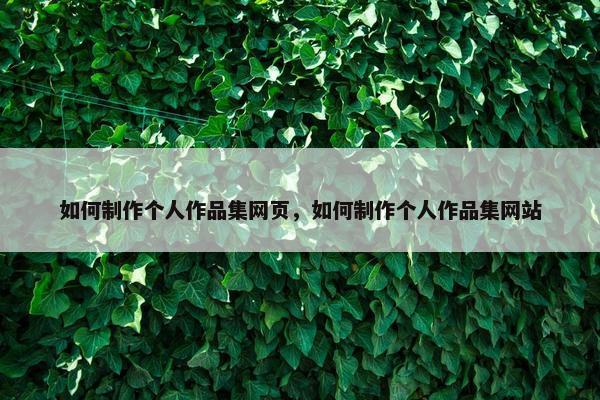 如何制作个人作品集网页，如何制作个人作品集网站-第1张图片-冷动云