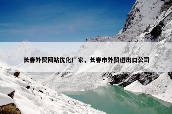 长春外贸网站优化厂家，长春市外贸进出口公司-第1张图片-冷动云