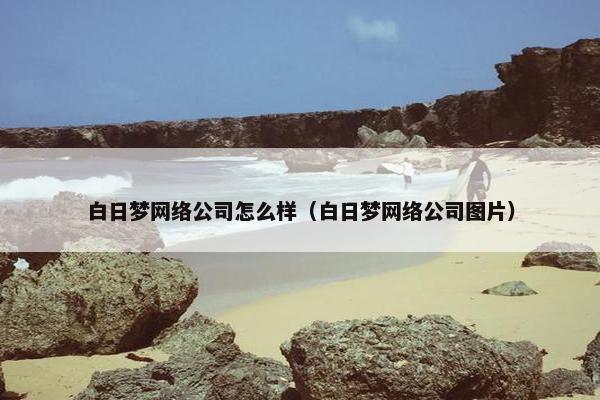 白日梦网络公司怎么样（白日梦网络公司图片）-第1张图片-冷动云