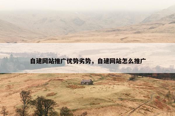 自建网站推广优势劣势，自建网站怎么推广-第1张图片-冷动云