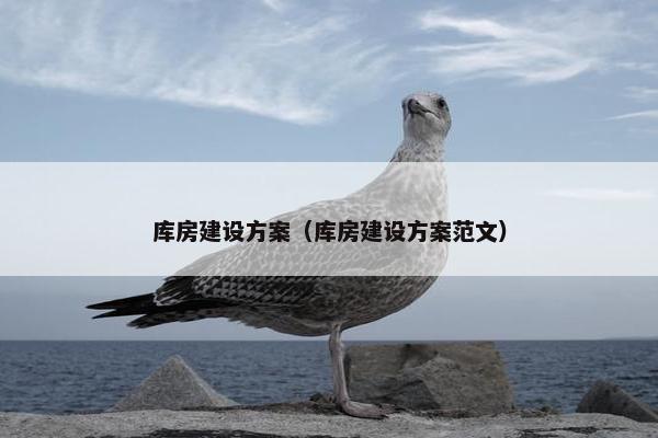 库房建设方案（库房建设方案范文）-第1张图片-冷动云