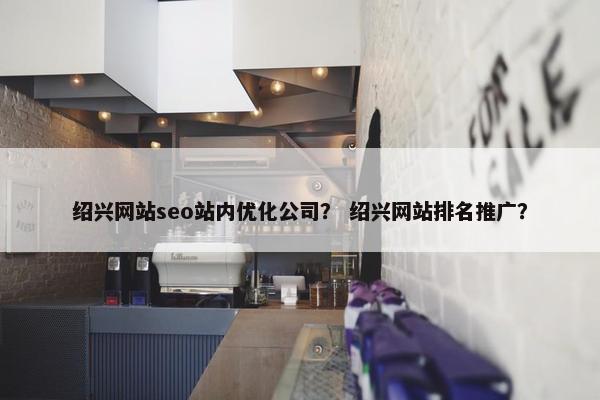 绍兴网站seo站内优化公司？ 绍兴网站排名推广？-第1张图片-冷动云