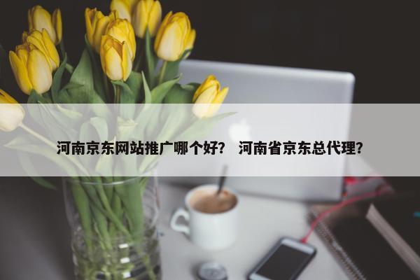 河南京东网站推广哪个好？ 河南省京东总代理？-第1张图片-冷动云