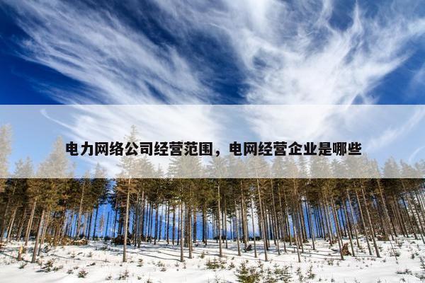 电力网络公司经营范围，电网经营企业是哪些-第1张图片-冷动云