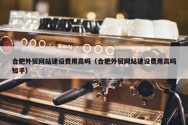合肥外贸网站建设费用高吗（合肥外贸网站建设费用高吗知乎）-第1张图片-冷动云
