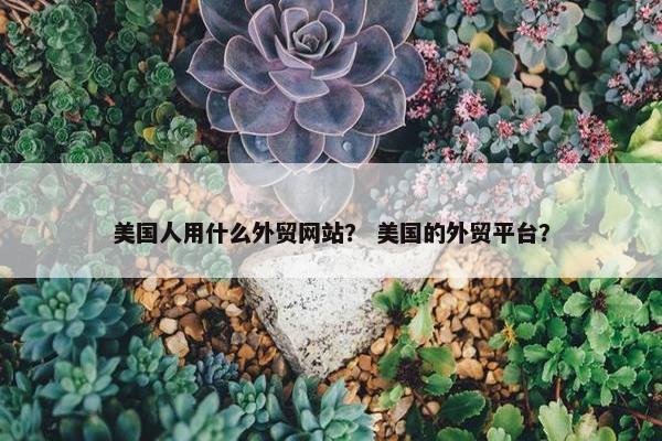 美国人用什么外贸网站？ 美国的外贸平台？-第1张图片-冷动云