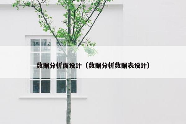 数据分析面设计（数据分析数据表设计）-第1张图片-冷动云