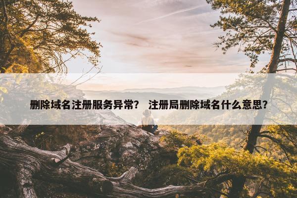 删除域名注册服务异常？ 注册局删除域名什么意思？-第1张图片-冷动云