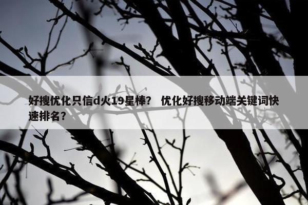 好搜优化只信d火19星棒？ 优化好搜移动端关键词快速排名？-第1张图片-冷动云