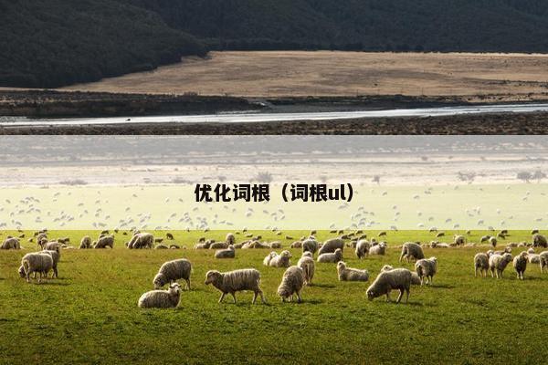 优化词根（词根ul）-第1张图片-冷动云