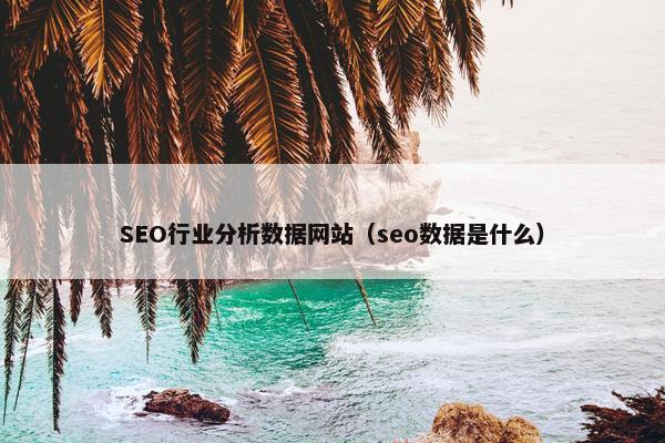 SEO行业分析数据网站（seo数据是什么）-第1张图片-冷动云