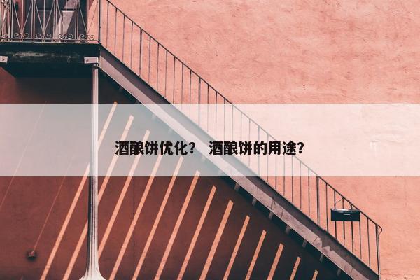酒酿饼优化？ 酒酿饼的用途？-第1张图片-冷动云