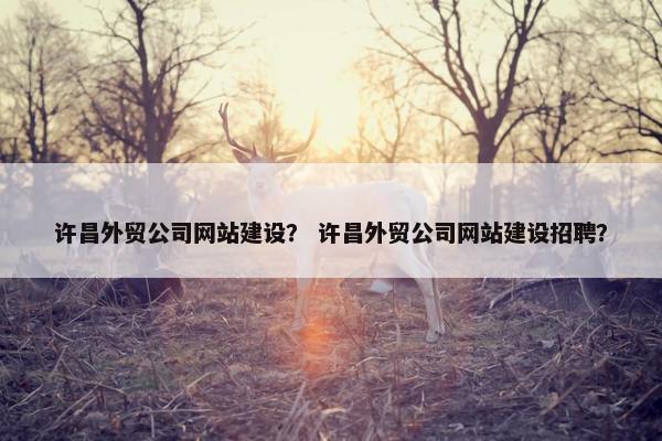 许昌外贸公司网站建设？ 许昌外贸公司网站建设招聘？-第1张图片-冷动云
