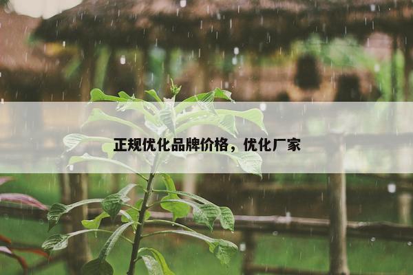 正规优化品牌价格，优化厂家-第1张图片-冷动云