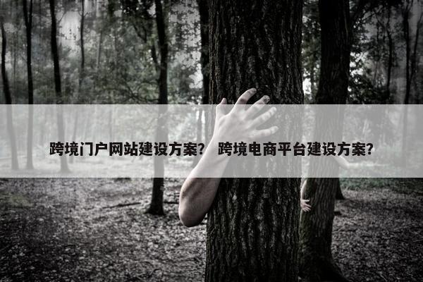 跨境门户网站建设方案？ 跨境电商平台建设方案？-第1张图片-冷动云