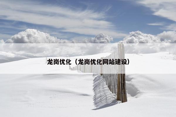 龙岗优化（龙岗优化网站建设）-第1张图片-冷动云