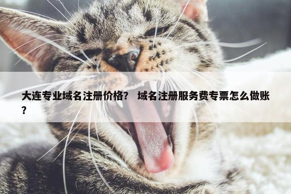 大连专业域名注册价格？ 域名注册服务费专票怎么做账？-第1张图片-冷动云