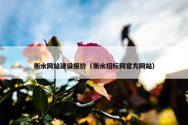 衡水网站建设报价（衡水招标网官方网站）-第1张图片-冷动云