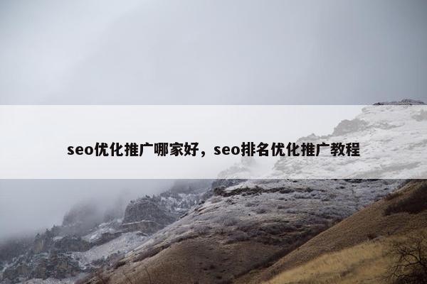seo优化推广哪家好，seo排名优化推广教程-第1张图片-冷动云
