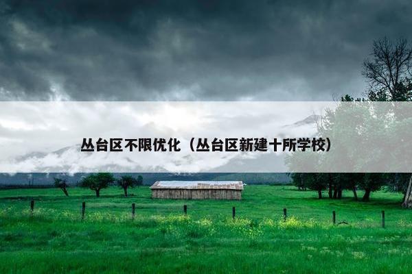 丛台区不限优化（丛台区新建十所学校）-第1张图片-冷动云