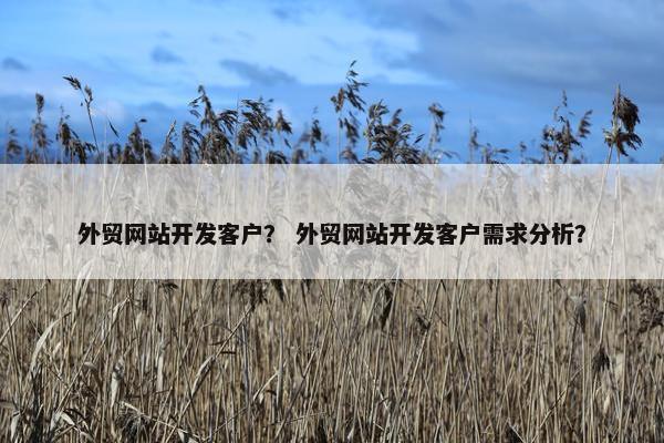 外贸网站开发客户？ 外贸网站开发客户需求分析？-第1张图片-冷动云