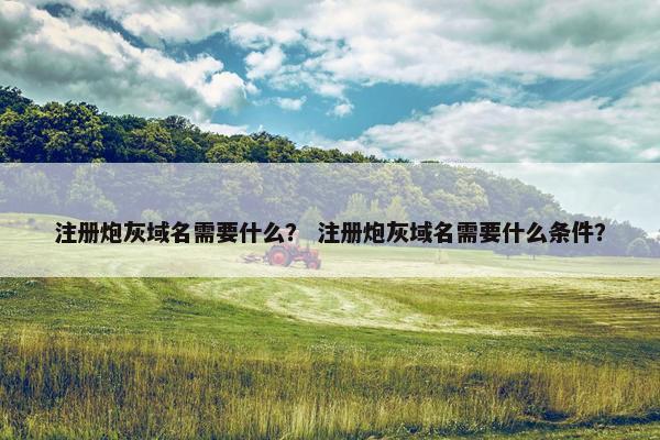 注册炮灰域名需要什么？ 注册炮灰域名需要什么条件？-第1张图片-冷动云