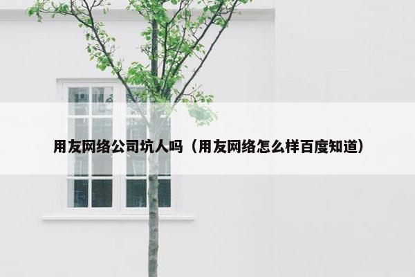用友网络公司坑人吗（用友网络怎么样百度知道）-第1张图片-冷动云