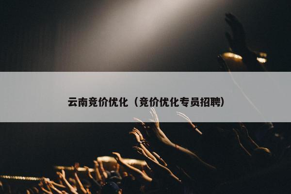 云南竞价优化（竞价优化专员招聘）-第1张图片-冷动云