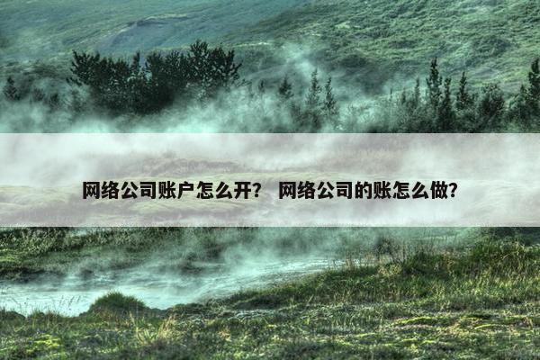 网络公司账户怎么开？ 网络公司的账怎么做？-第1张图片-冷动云